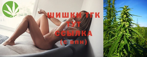 ПСИЛОЦИБИНОВЫЕ ГРИБЫ Баксан