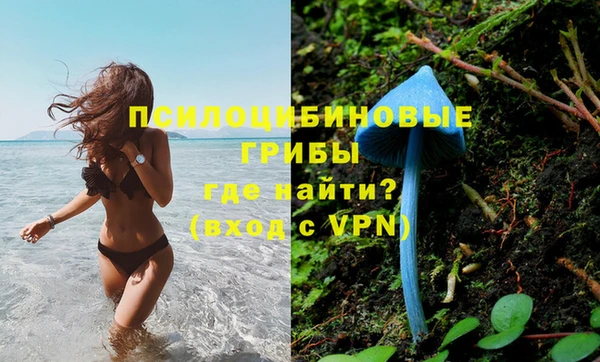 ПСИЛОЦИБИНОВЫЕ ГРИБЫ Баксан