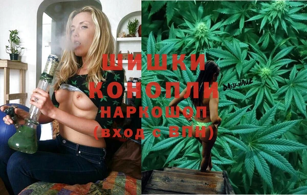 ПСИЛОЦИБИНОВЫЕ ГРИБЫ Баксан