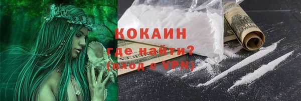 ПСИЛОЦИБИНОВЫЕ ГРИБЫ Баксан