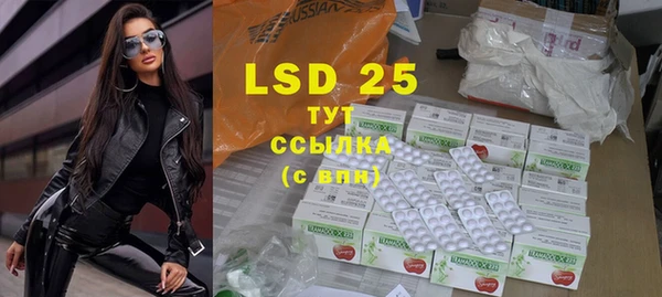 ПСИЛОЦИБИНОВЫЕ ГРИБЫ Баксан